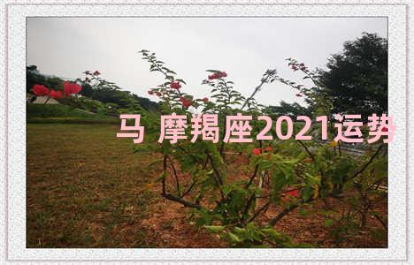 马 摩羯座2021运势